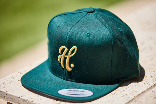 Flex Fit Green / Gold